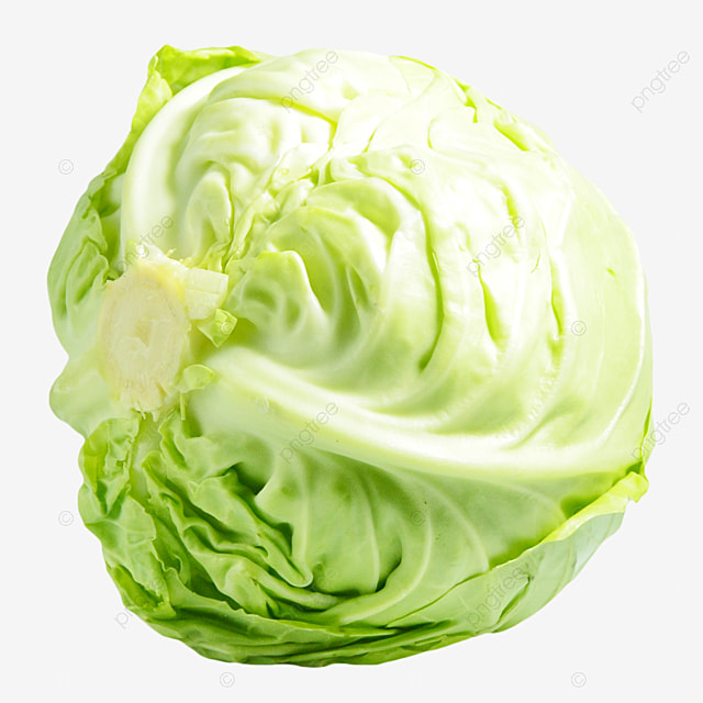 Premium Fresh Green Cabbage