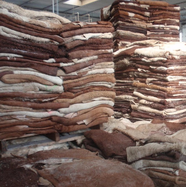 Salted & Dry Salted Donkey Hides and Cow Hides