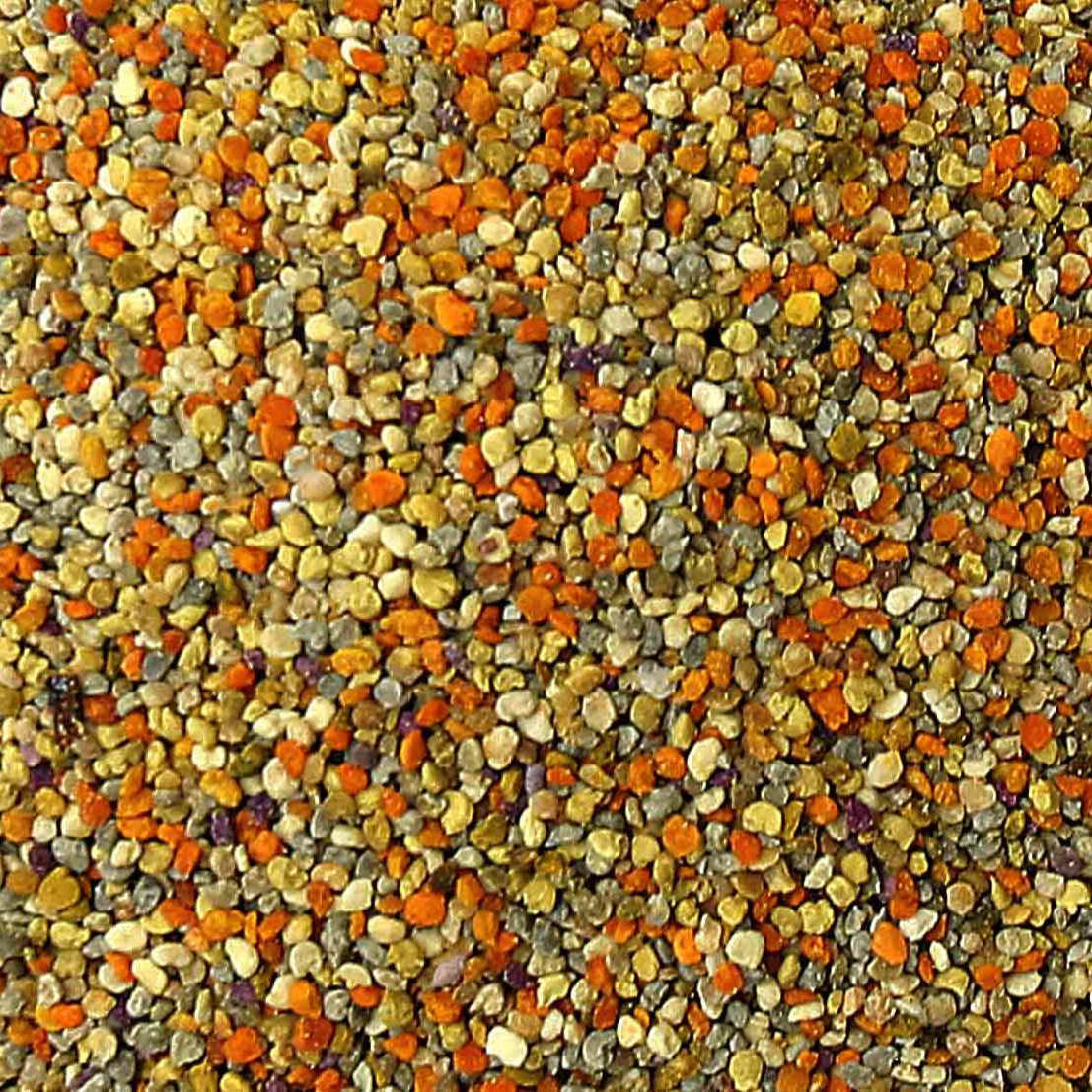 Wholesale Bee Pollen HOT SALE