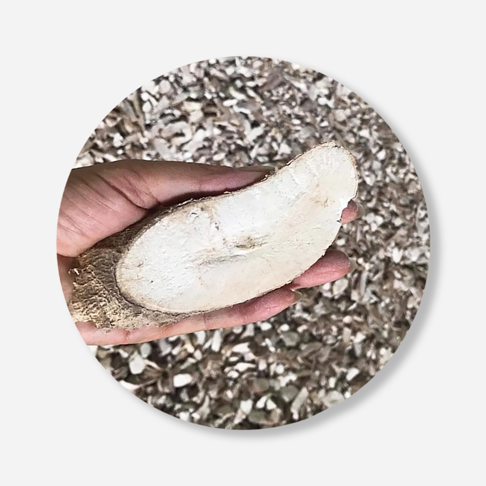 High Grade Dried Cassava Chips For Food Industry or Making Animal Feed and Ethanol