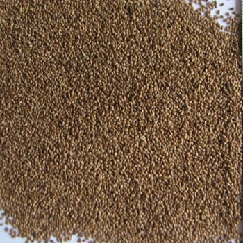 Premium Grade Fonio Grains