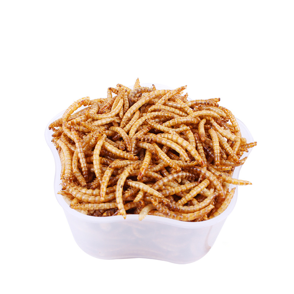 Материал для аквакультуры, сушеный белок насекомых, Mealworm, оптовая продажа, Сушеные Желтые Mealworm, еда для домашних животных, корм для птиц, корм для хомяка, закуски