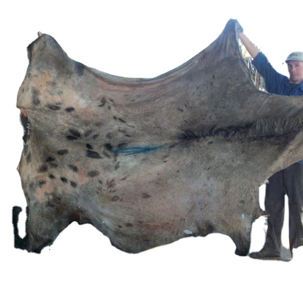 Wet Blue Cow Hides for Sale