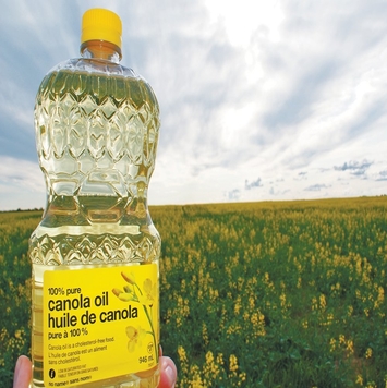 Новый самый продаваемый рапсовое масло/экспортер рапсового масла