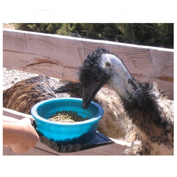 Производитель Корма Для эму
