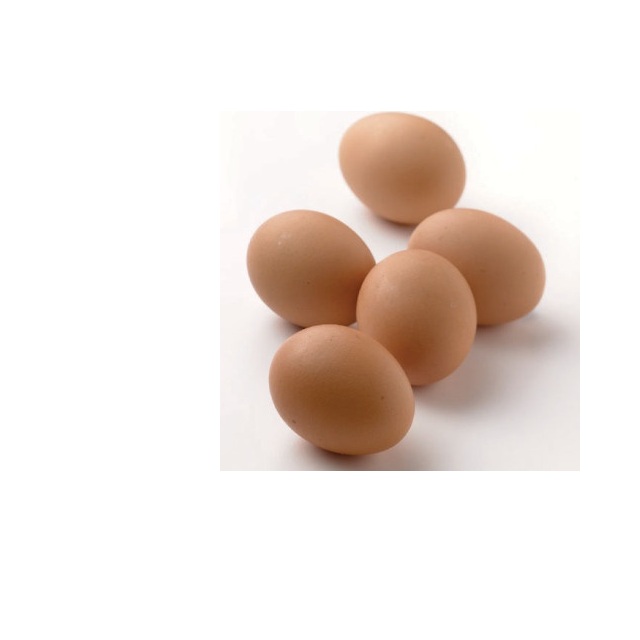 Farm Fresh Chicken Table Egg Brown and White Shell Chicken Egg Best Sizes