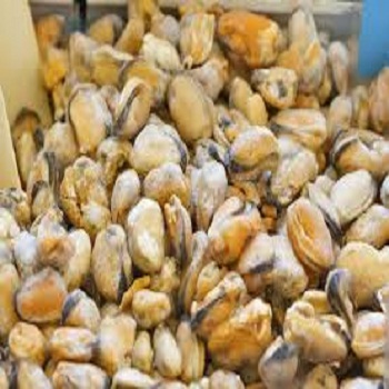 Морепродукты замороженная мишура
