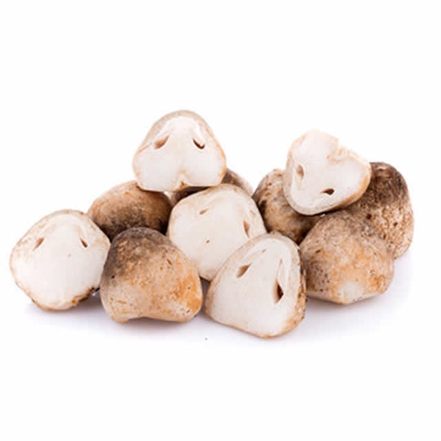 Свежая Грибная ферма Volvariella Volvacea