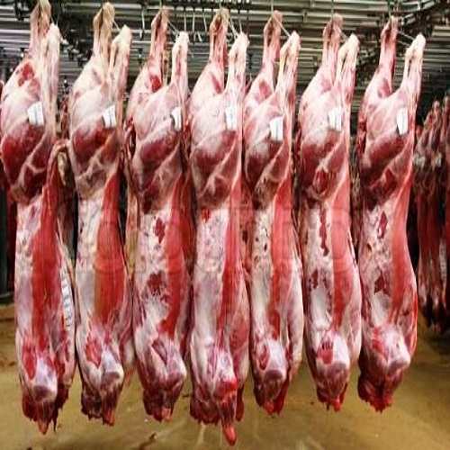 Замороженное мясо ягненка на продажу