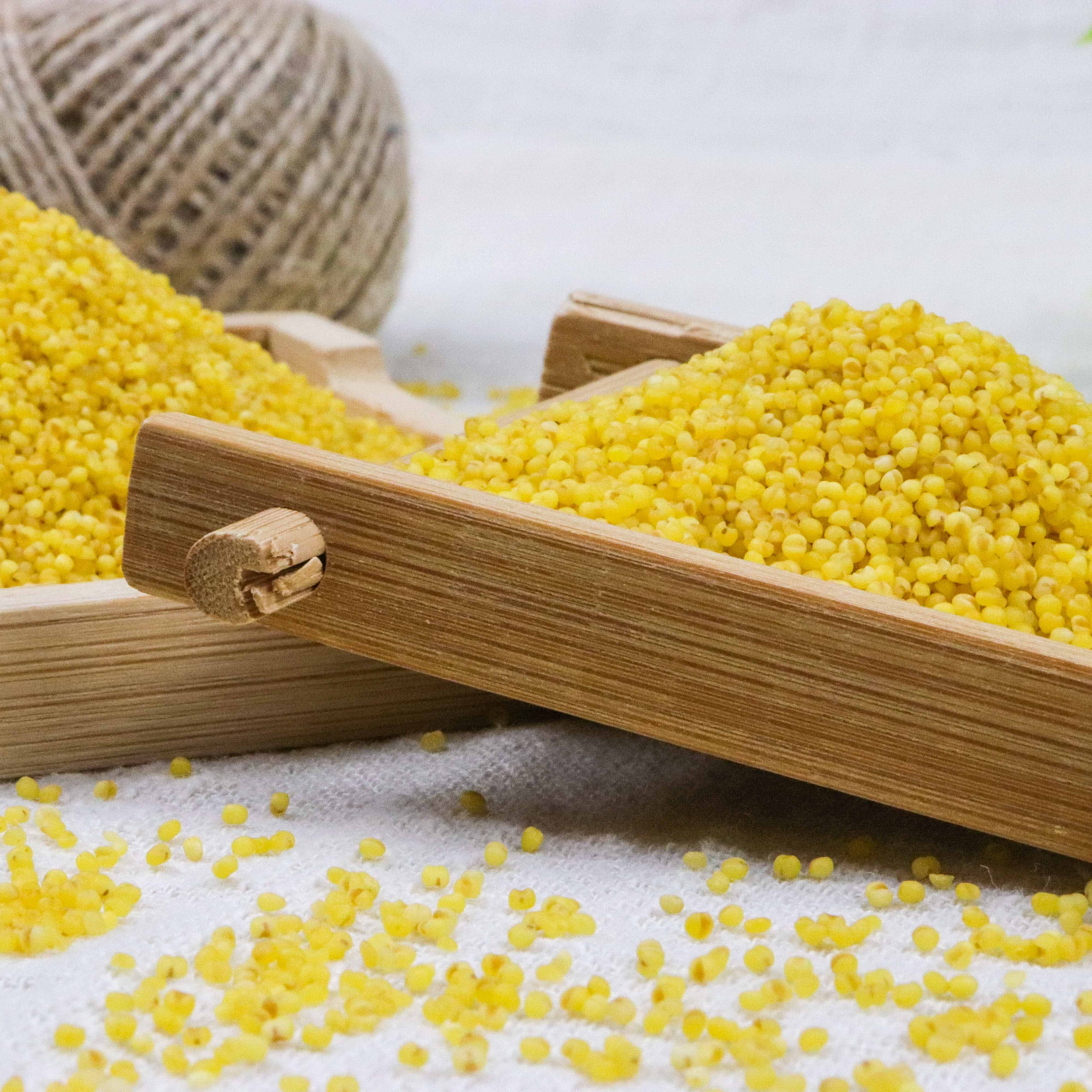 Organic Yellow Millet
