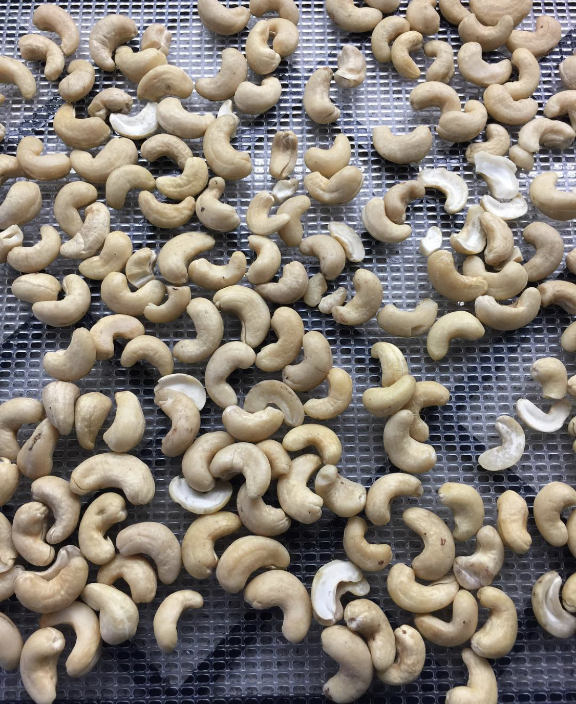 Factory Dried organic cashews nuts cashews kernels for sale/OEM packing Roasted and salted cashew nuts