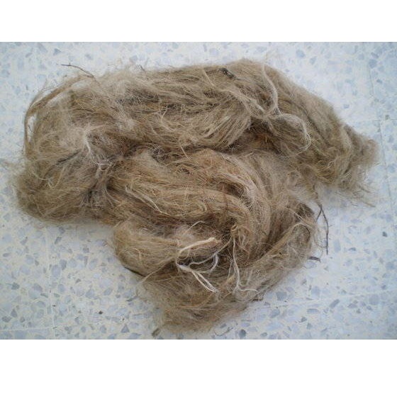 Export Oriented Raw Jute From Bangladesh