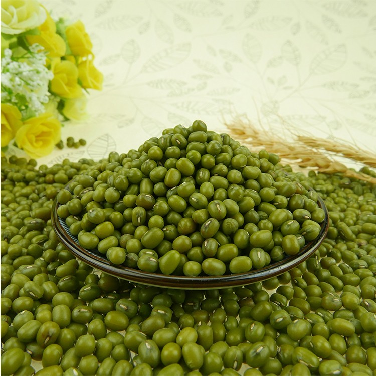 Grade AA competitive Price Green Mung Beans