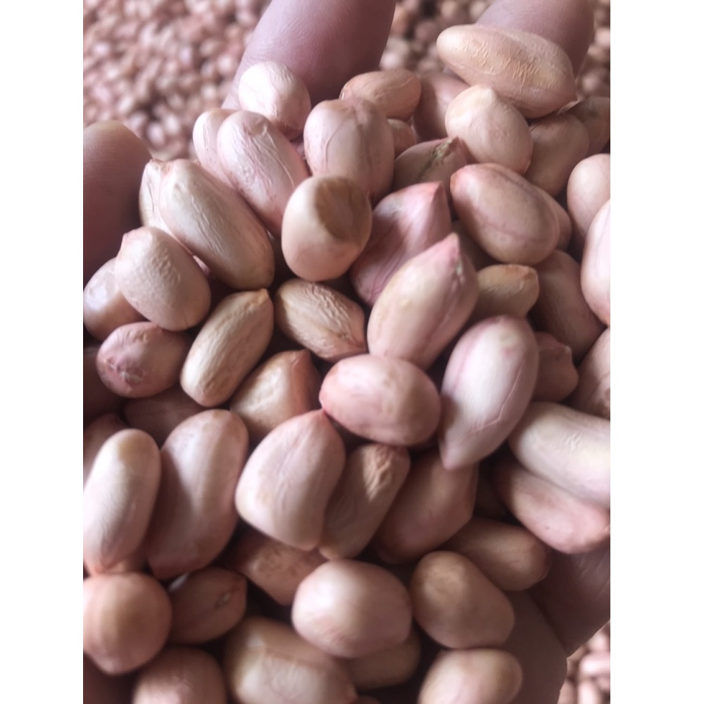 Сертификация HACCP, вкусный свежий светло-розовый арахис с вакуумными упаковочными пакетами из Вьетнама