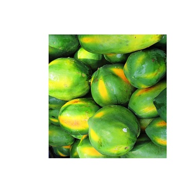 Fresh papaya