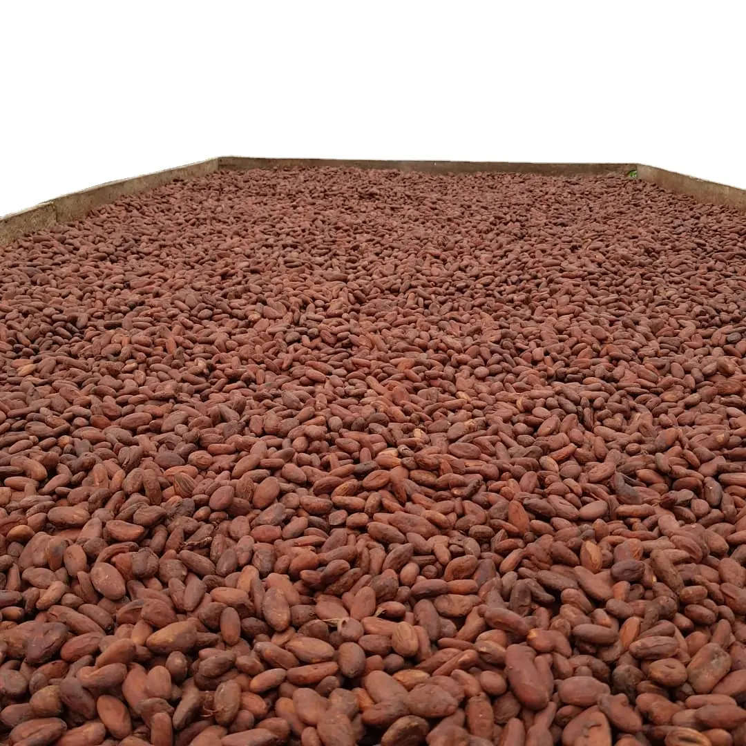 Индивидуальная Этикетка/контрактное производство, лидер продаж, высококачественные органические необработанные какао-наконечники, изготовленные в Германии
