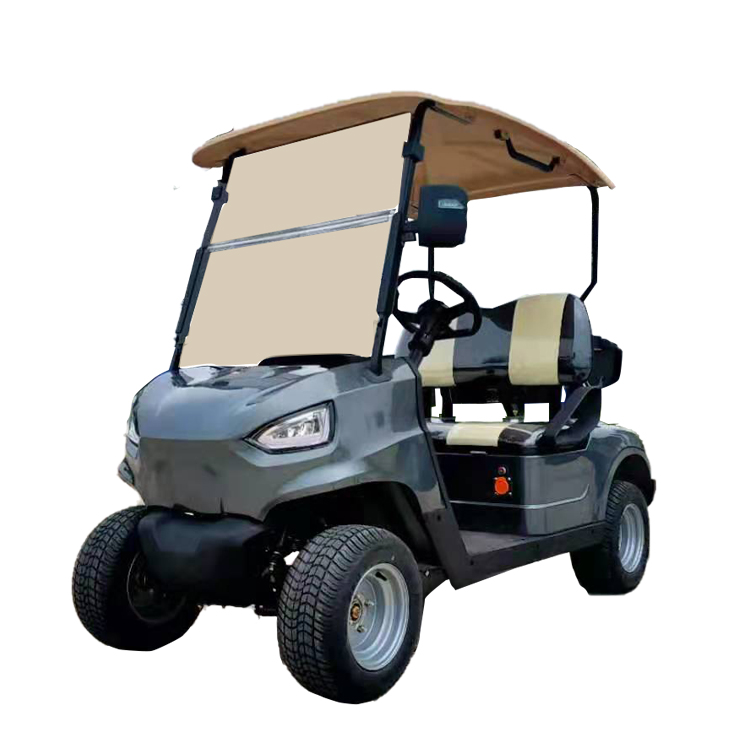 Chinese Manufacturer High quality cheap 2 seat golf car Electric golf cart for sale