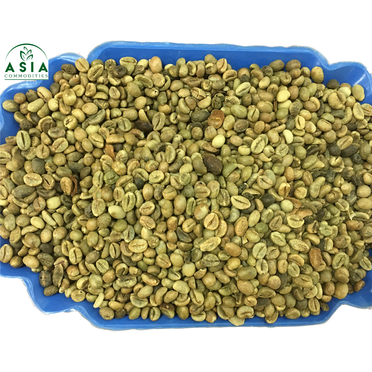Экспорт Robusta кофе в зернах экран 13 5% по лучшей цене из Вьетнама