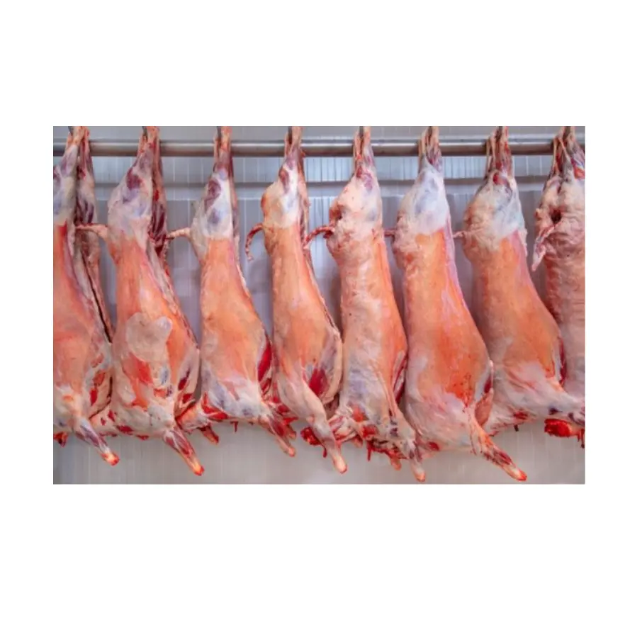 Premium Quality Pork Meat and Frozen Beef and Goat Meat and Frozen Chicken parts.
