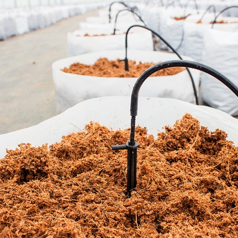 Cocopeat Supplier - Cocopeat Manufacturer Indonesia