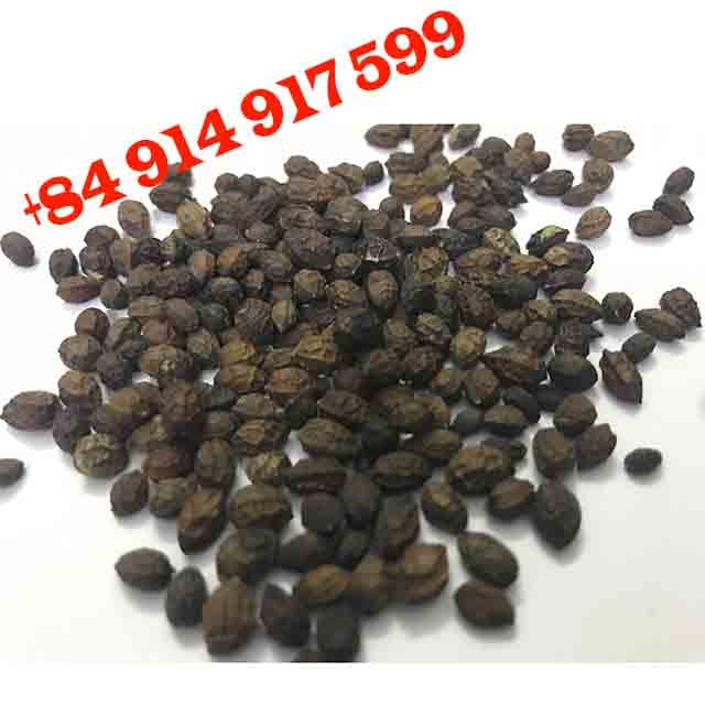 Competitives Price Papaya Seed And Leaves Vietnam