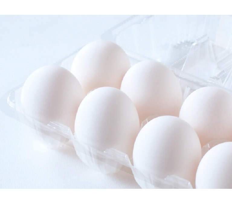 BIG SALE Fresh Organic White Chicken Eggs competitive price wholesale from VIETNAM - FREE tax export to Japan, EU, USA