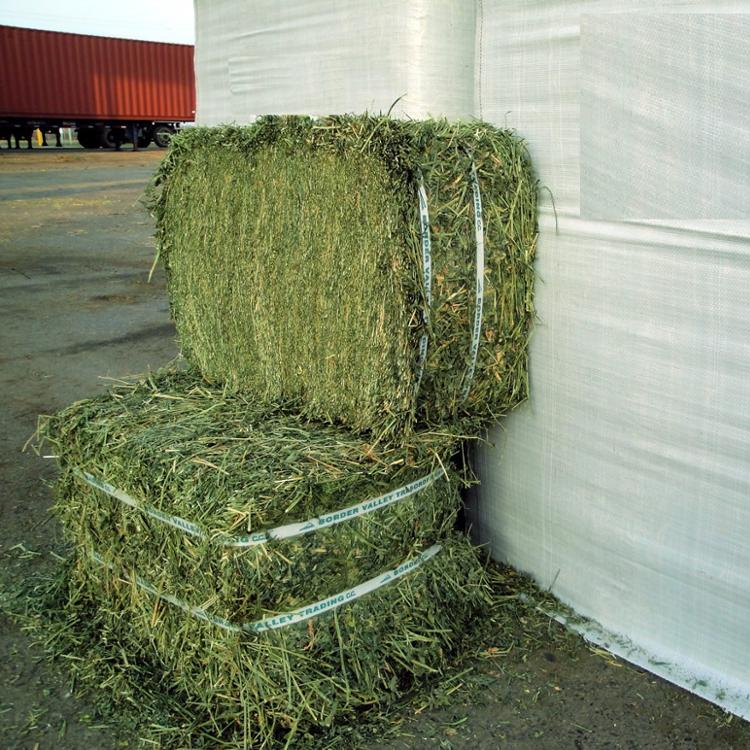 High Quality Bales Top Grade Alfalfa Hay ..
