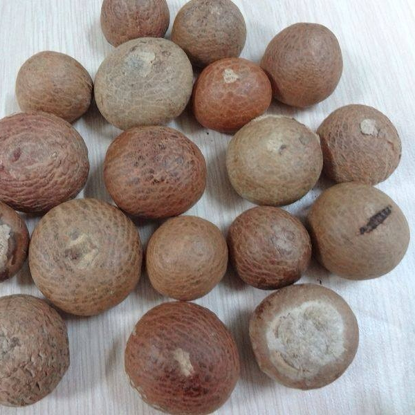 100% хорошие Симпатичные тайские разделенные орехи, Сушеные Орехи Betel, Таиландские орехи Betel