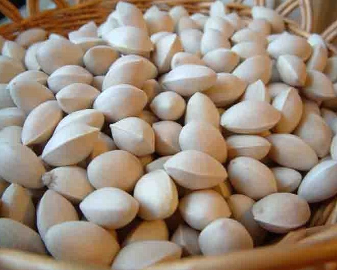 Сырые гайки Ginkgo