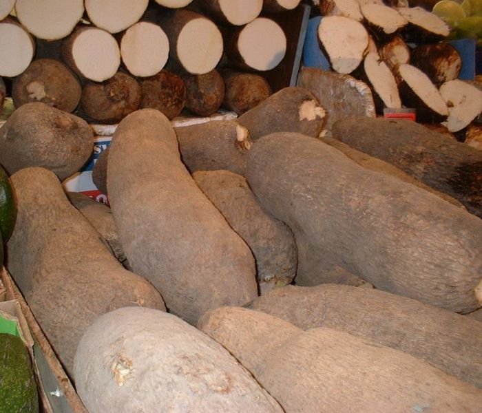 High Quality Organic Delicious Yams/Taro