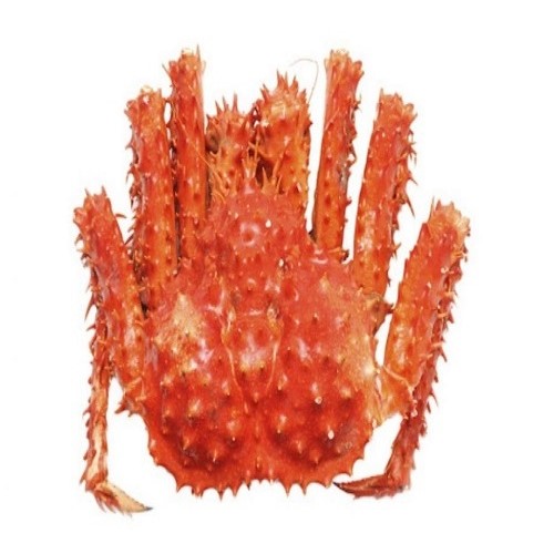 Live Canadian Red King Crabs Best Quality Seafood Product Natural Frozen King Crab