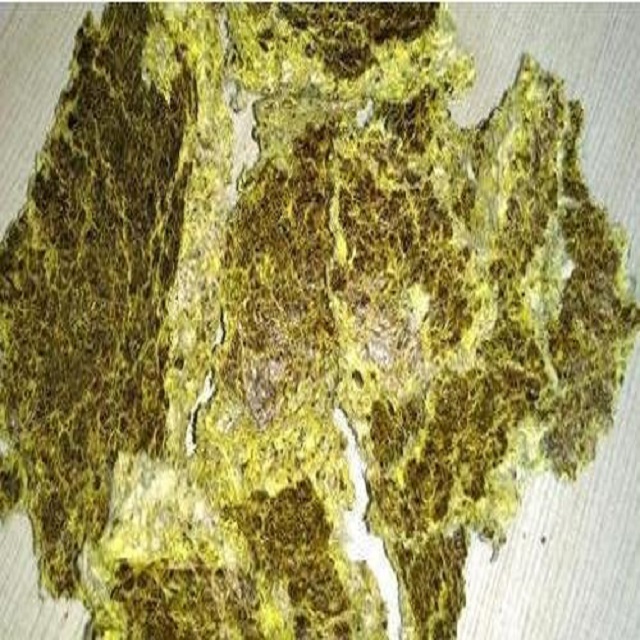 Cotton Seed oil cake