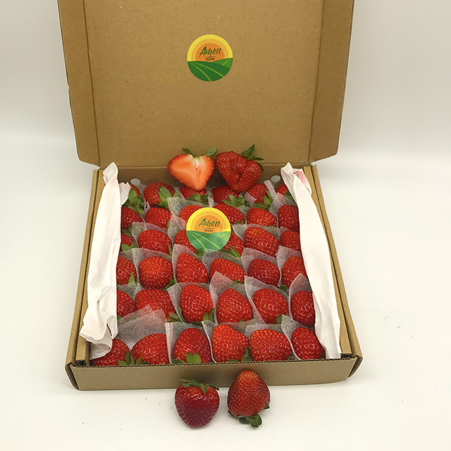 SWEET STRAWBERRY FROM VIET NAM
