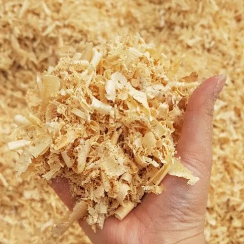 Dry Compressed wood shavings at competitive price