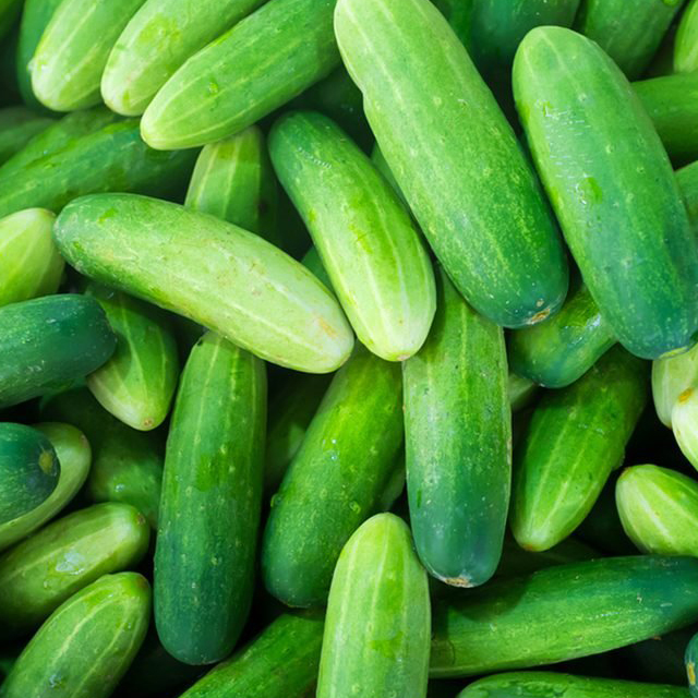 Cucumber