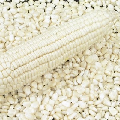 WHITE/YELLOW CORN FOR HUMAN CONSUMPTION