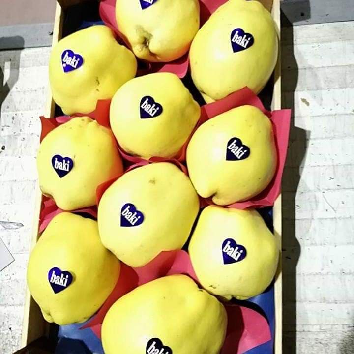 Quince свежий органический оригинальный турецкий