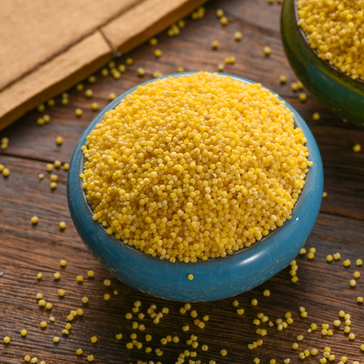 High quality yellow millet grain high nutrition value, grain Offered