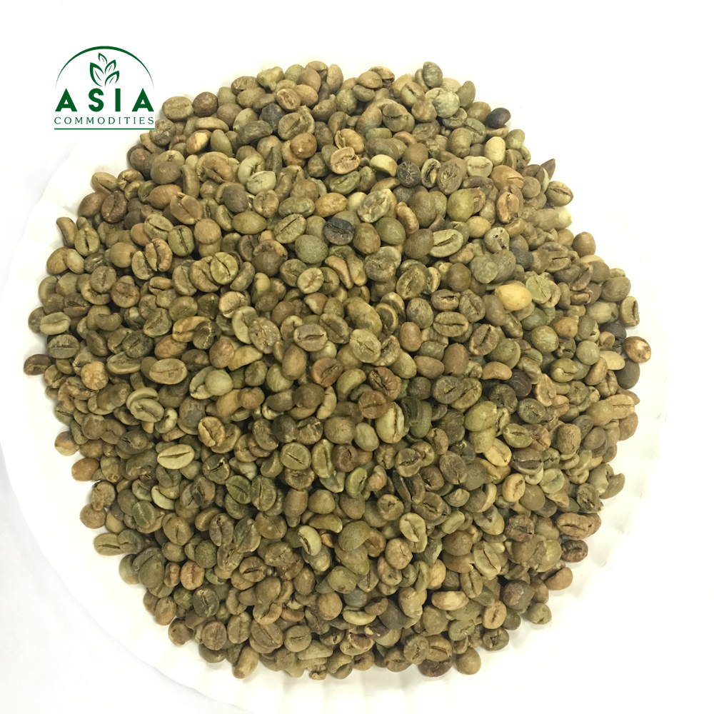 Зеленые кофейные зерна Robusta, экран 16 дюймов, чистый/класс 1/Самая низкая цена