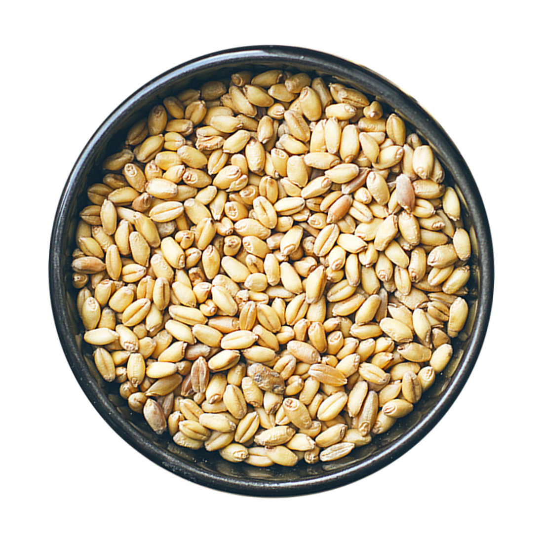 Triple-cleaned Non-GMO Wheat grains seeds healthy food natural wholesale bulk organic non-GMO cereal grains