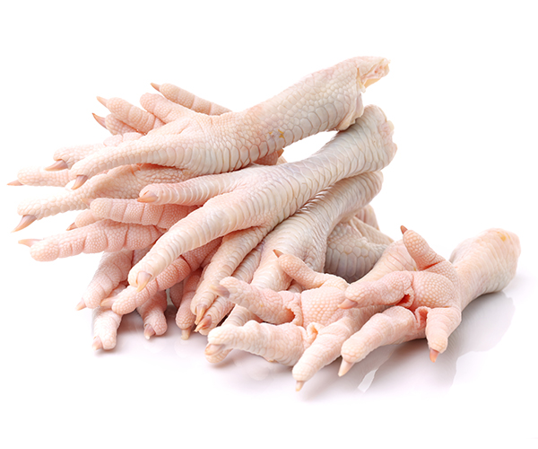 Wholesale Price Good Quality Clean and Fresh Halal Frozen Chicken Feet
