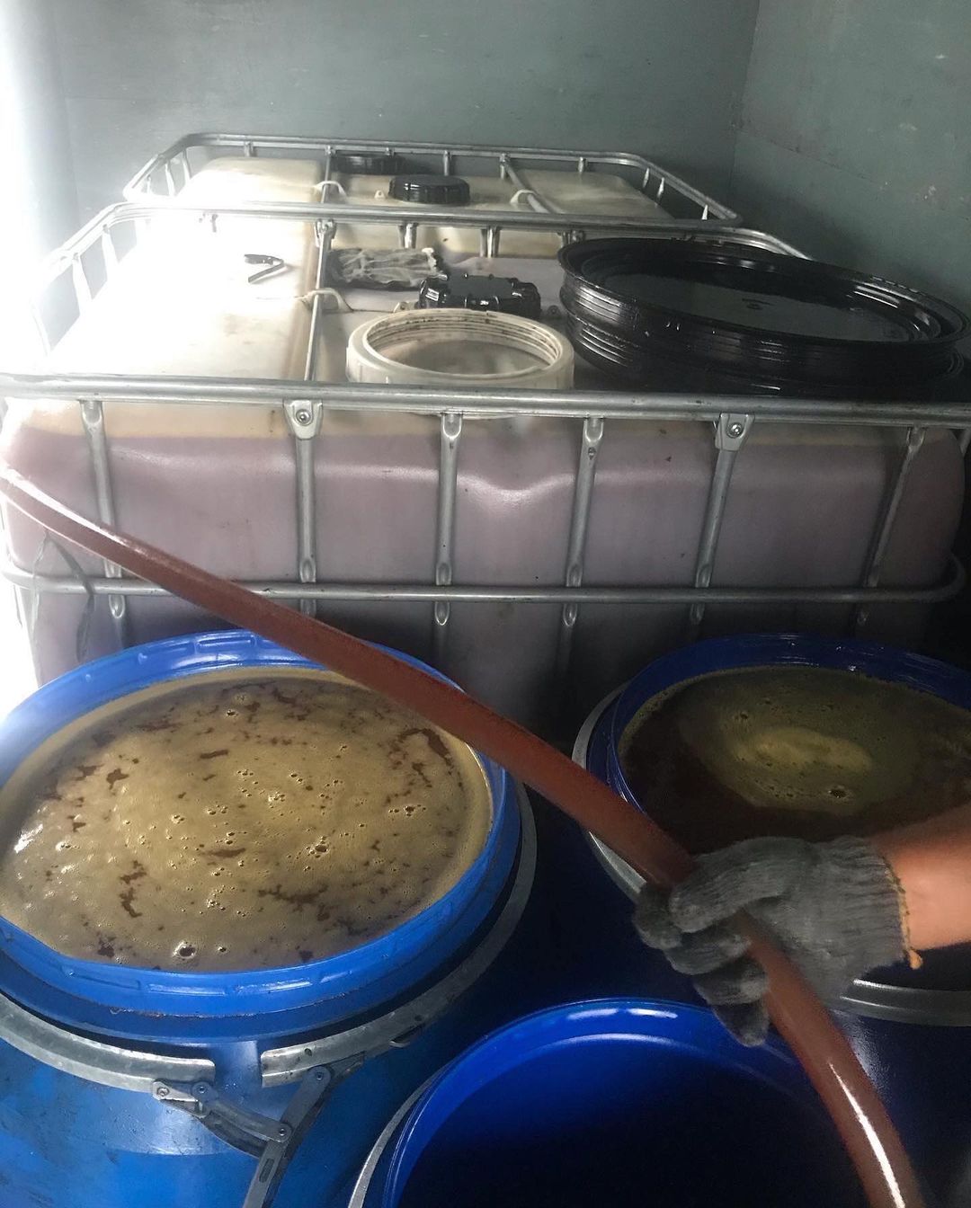 Waste vegetable oil/UCO/used cooking oil for biodiesel production