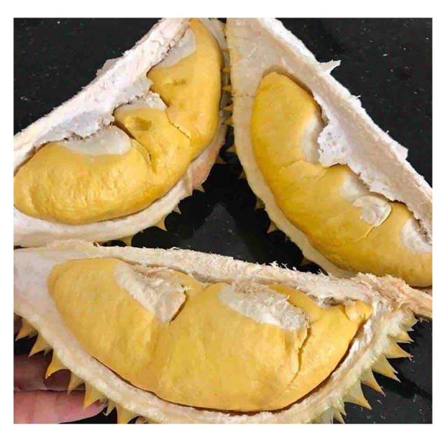 Премиум замороженное/свежее мясо DONA/ MONTHONG DURIAN высокое качество из Вьетнама/мисс Триш + 84 984 696 874 (WHATSAPP)