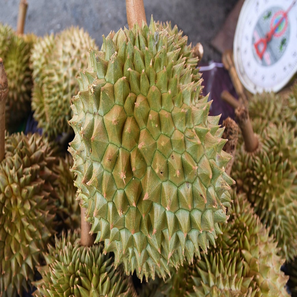 AD Fresh Durians frozen musang king durian & durian paste & freeze dried durian For Sale