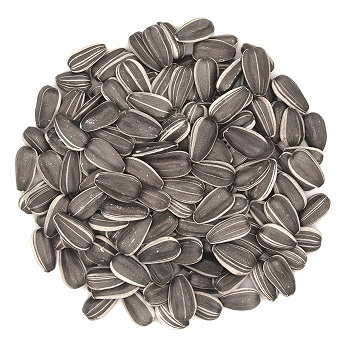 Quality Sunflower Seeds