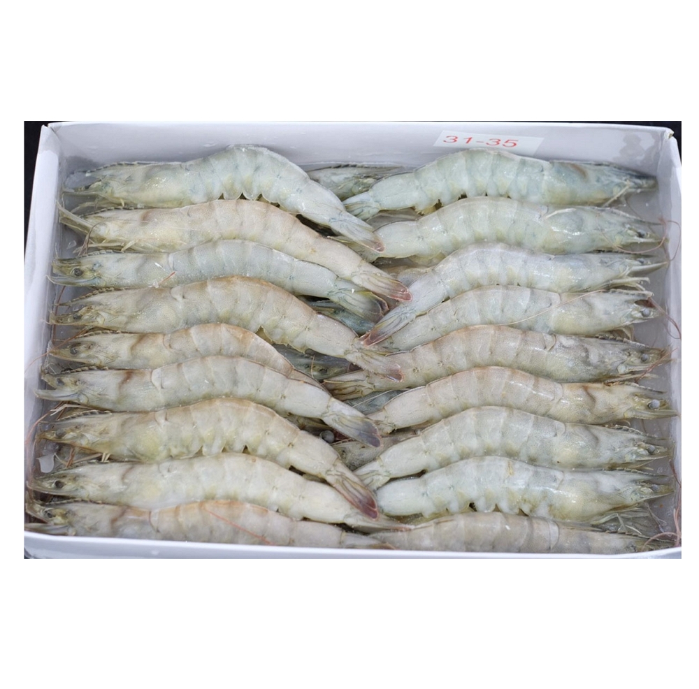 Vietnam Supplier Fresh Seafood Vannamei Shrimp HOSO with High Quality
