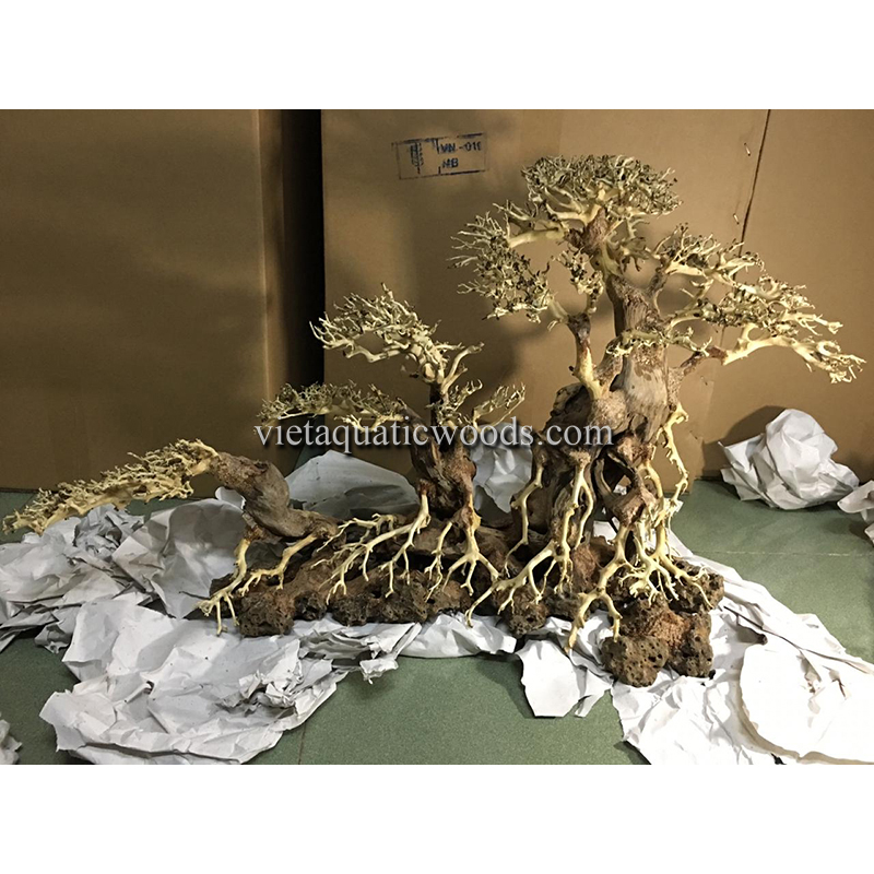 Аквариум Driftwood натуральный WhatsApp: + 84 963 949 178