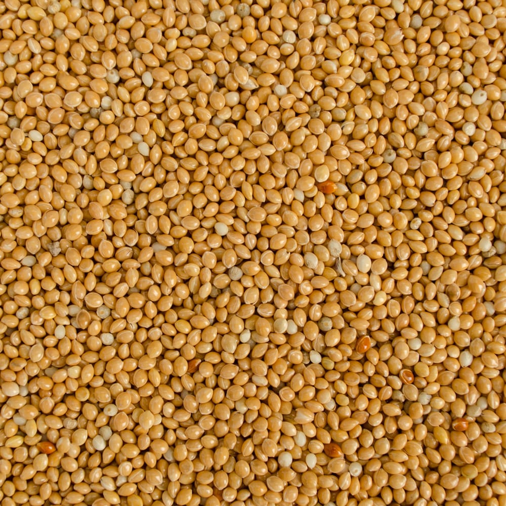 glutinous millet
