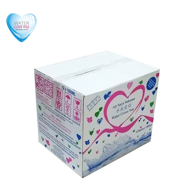 Supplier price Ultrasonic Alkaline Ionized Water 12 Bottles Per Carton natural water from Borneo Island