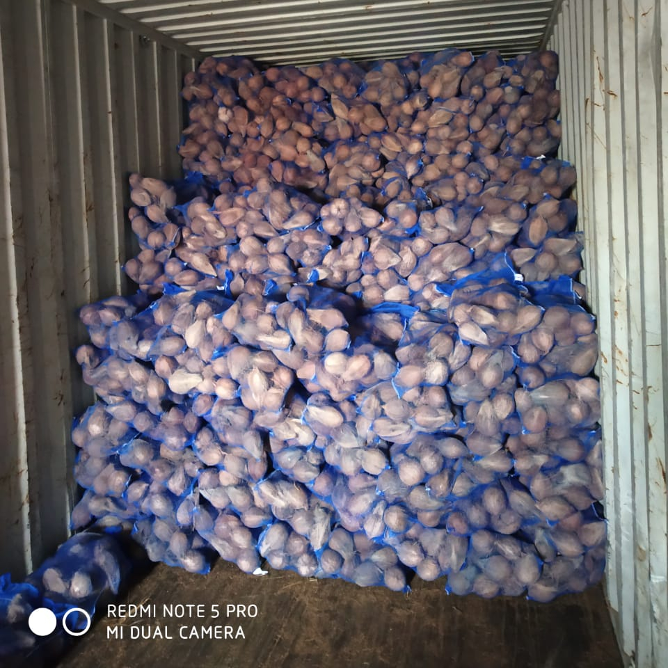 TOP QUALITY BEST SEMI HUSKED COCONUT EXPORT